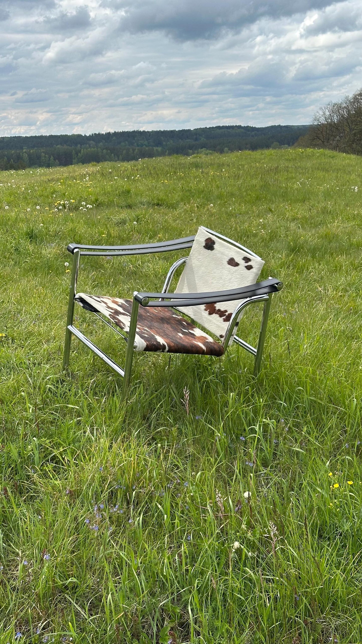 LC1 Chair by Le Corbusier for Cassina, 1928, Iconic Modernist Lounge Chair
