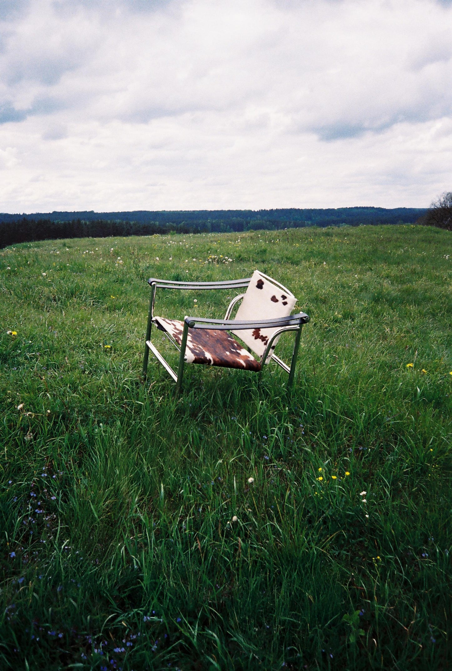 LC1 Chair by Le Corbusier for Cassina, 1928, Iconic Modernist Lounge Chair