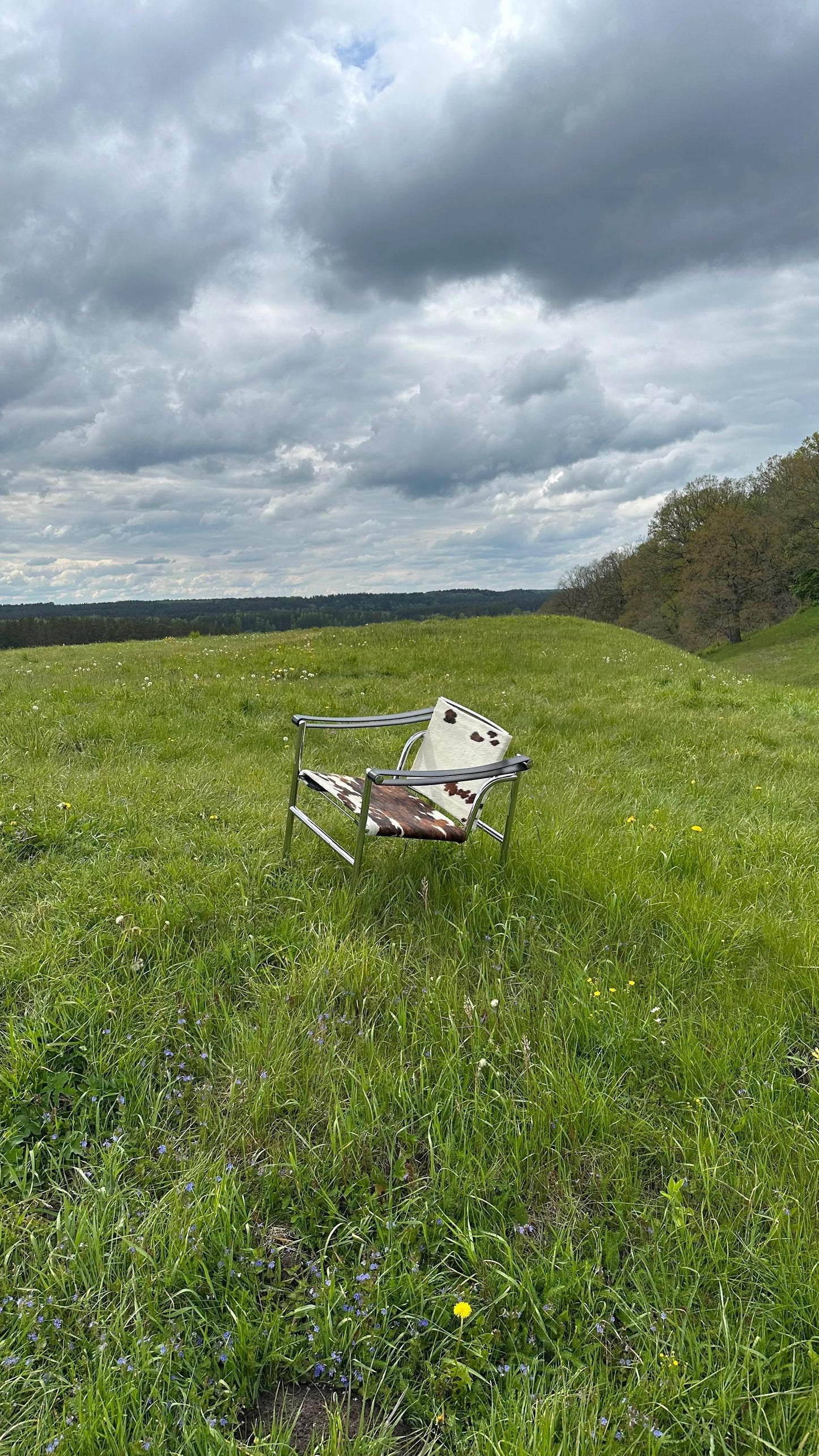 LC1 Chair by Le Corbusier for Cassina, 1928, Iconic Modernist Lounge Chair